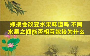 嫁接会改变水果味道吗 不同水果之间能否相互嫁接为什么